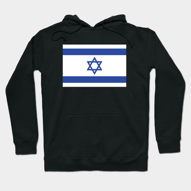 Israeli Flag Hoodie by Hayden Mango Collective 